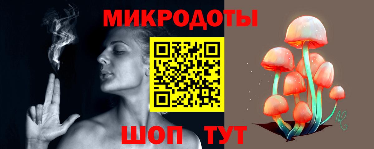 Галлюциногенные грибы Psilocybe Подольск